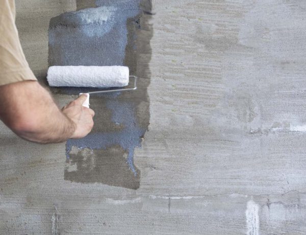 Gestrichene Wand tapezieren