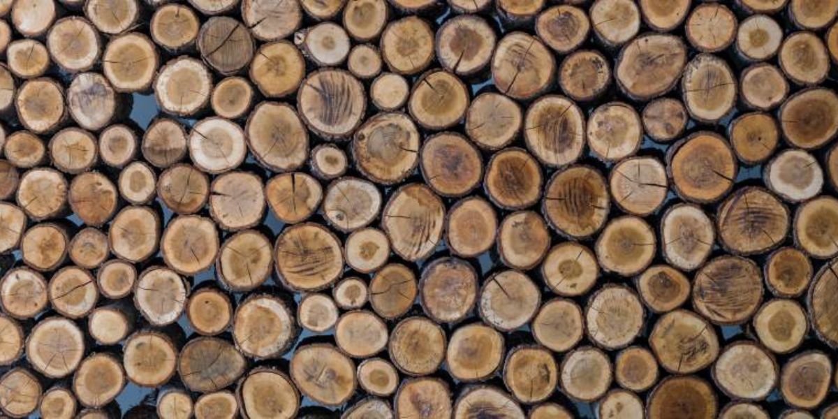 Tapete mit gespaltenem Holzdesign bietet ein robustes und industrielles Aussehen.