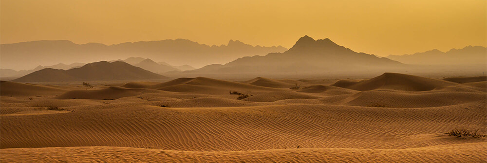 Fototapete Sahara