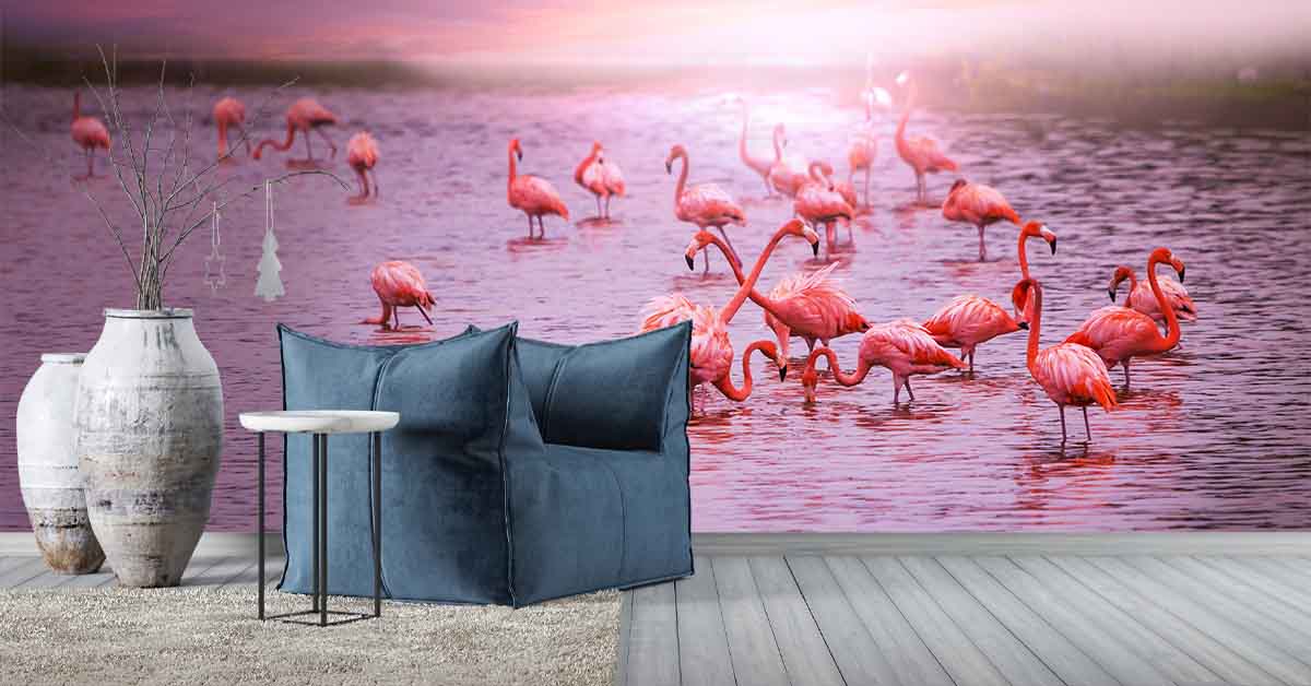 Flamingos auf Fototapete