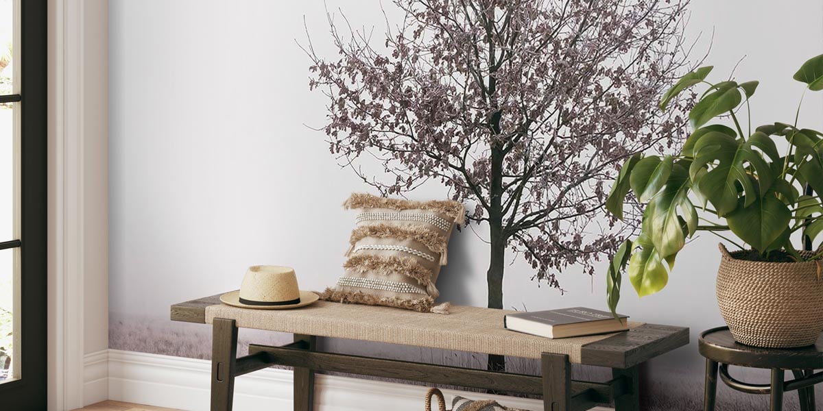 Jakub Wencek – Die Verborgene Schönheit des Waldes