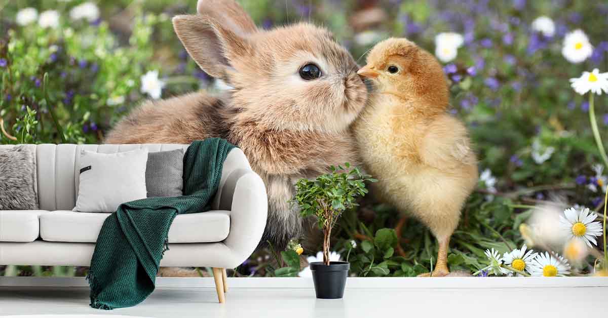 Fototapete mit Kaninchen