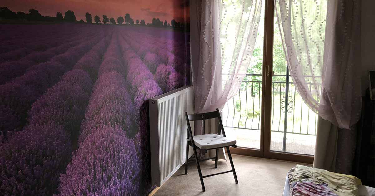 Fototapete Lavendel günstig online bestellen 
