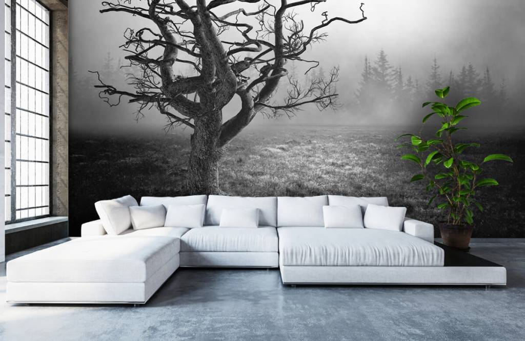 Schwarzweiß Tapete - Eleganter Baum in schwarz / weiß - Schlafzimmer 1