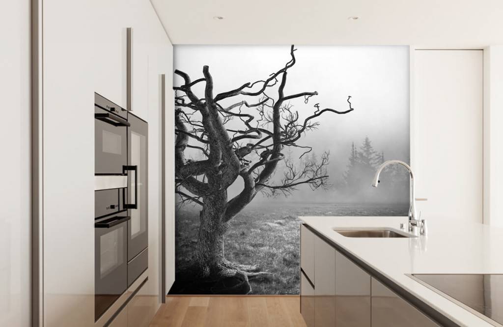 Schwarzweiß Tapete - Eleganter Baum in schwarz / weiß - Schlafzimmer 4
