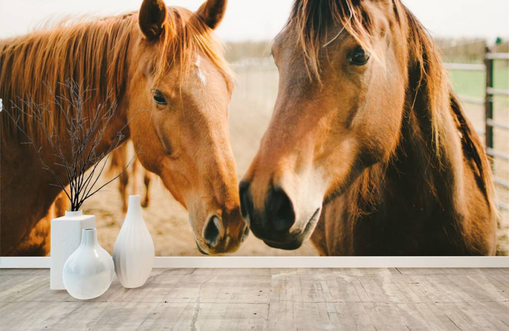 Pferde - Zwei Pferde - Kinderzimmer 8