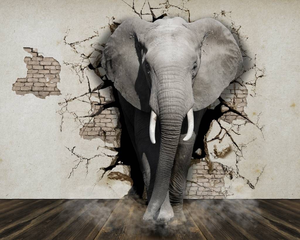 3D Elefant auf Fototapete