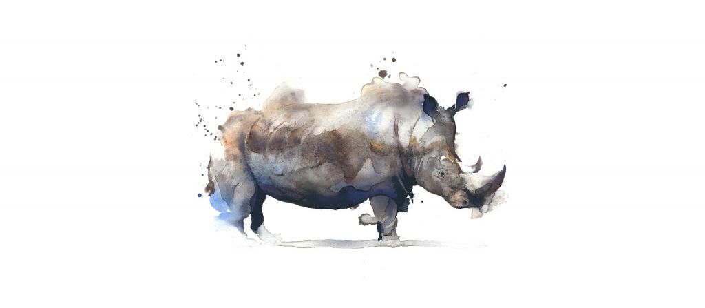Rhinozeros in Aquarellfarbe