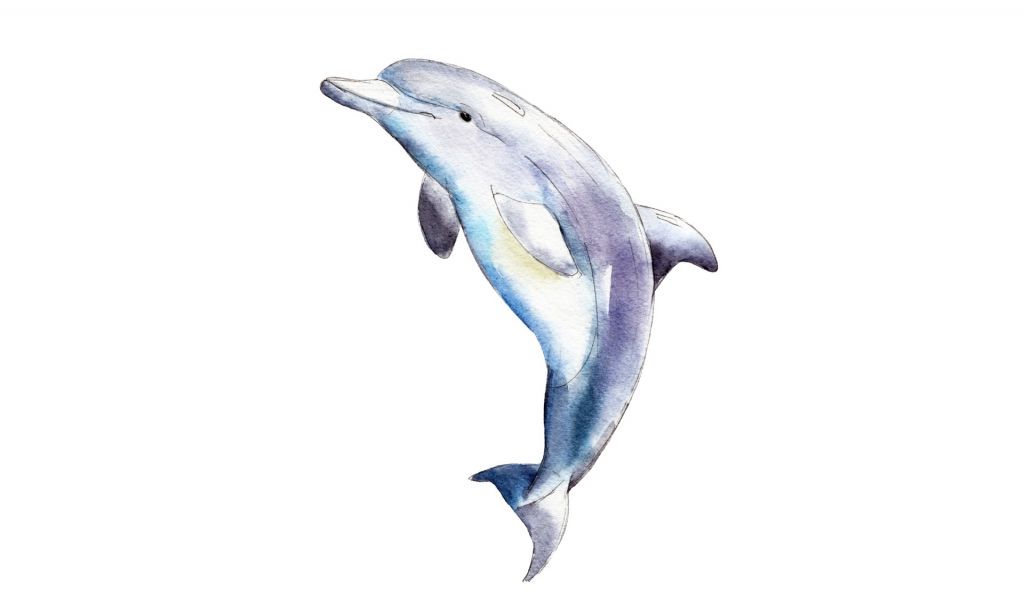 Gezeichneter Delfin