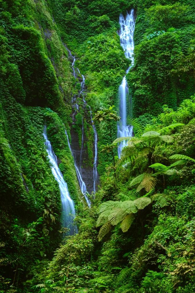Dschungel mit mehreren Wasserfällen