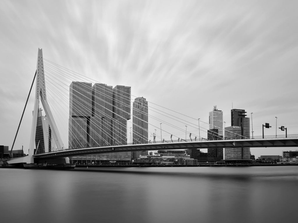 Erasmus Brücke schwarz-weiß