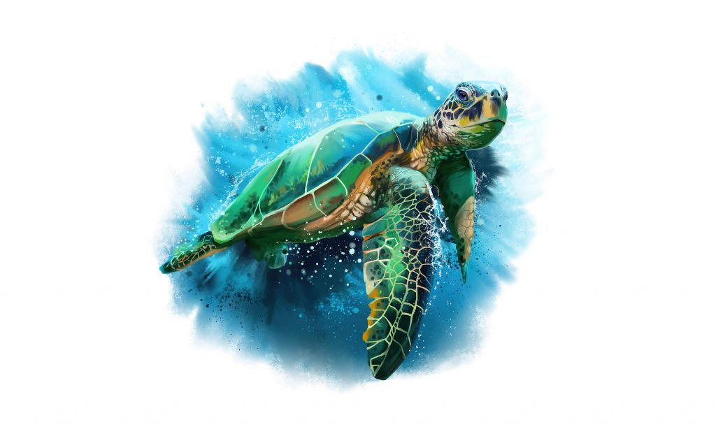 Meeresschildkröte gezeichnet 