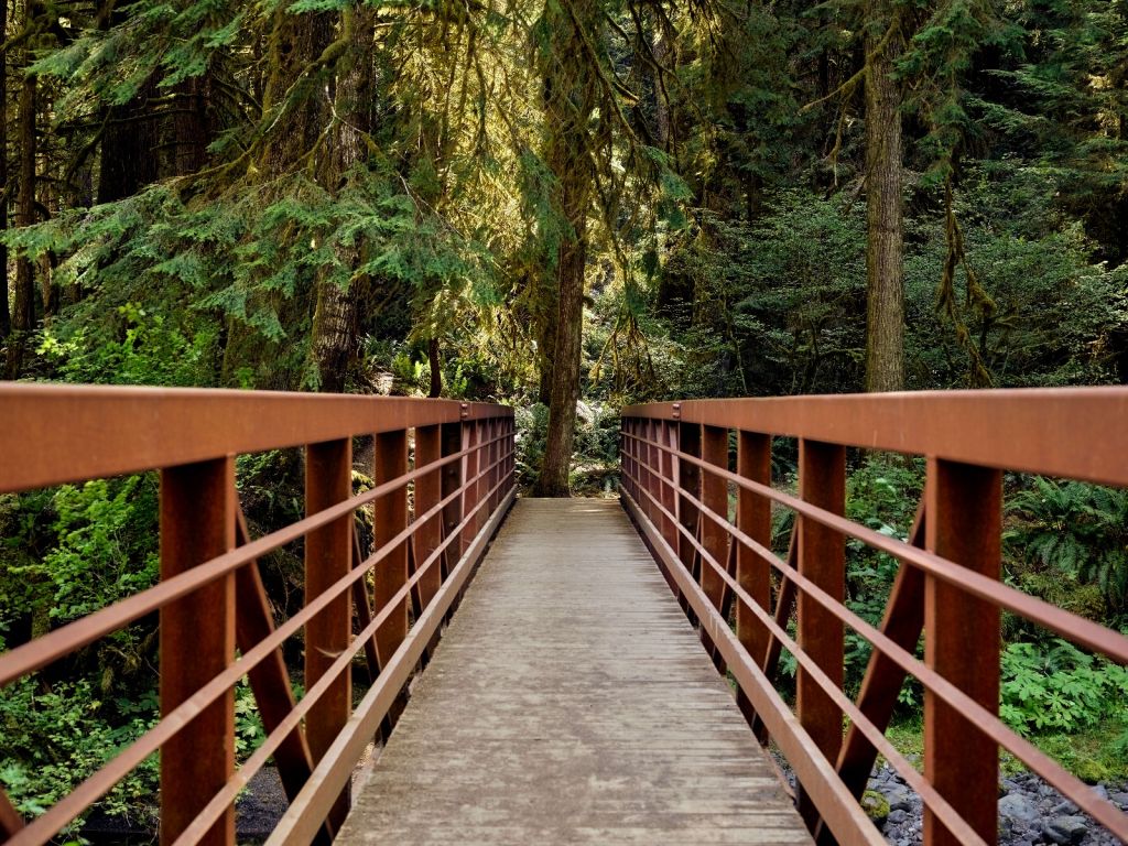 Rostige Brücke im Wald 