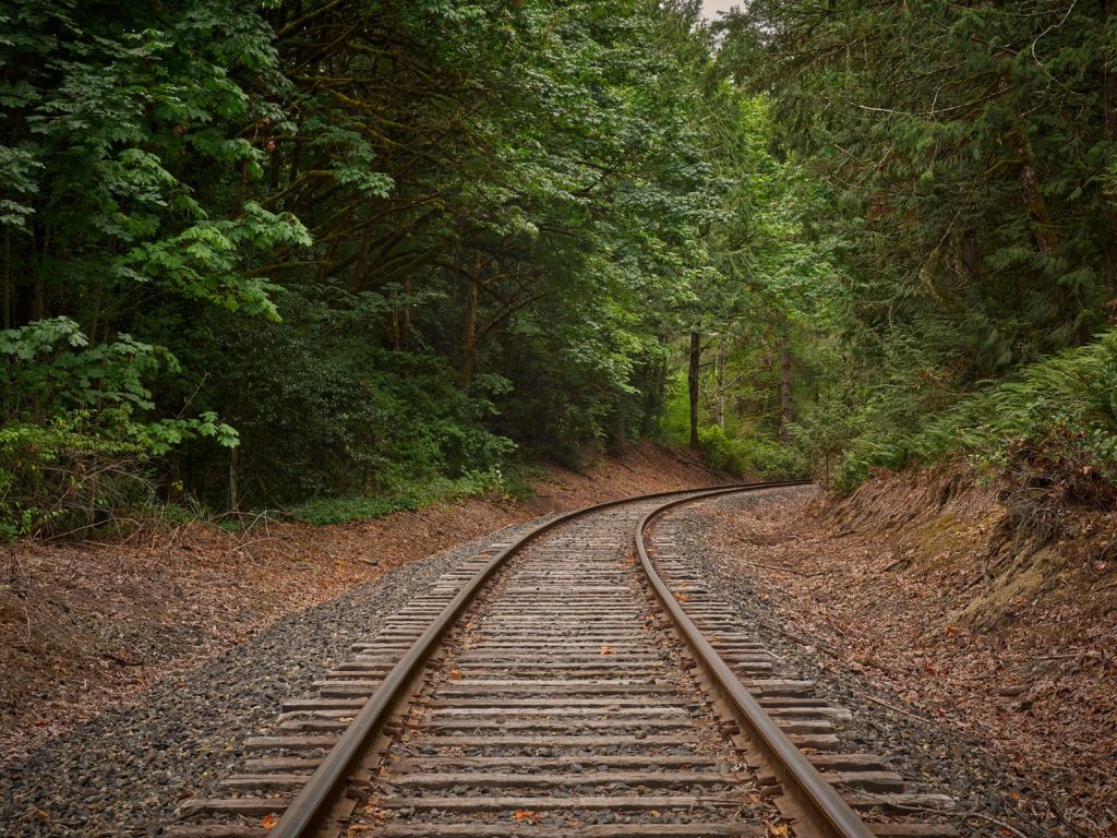 Eisenbahnstrecke durch den Wald