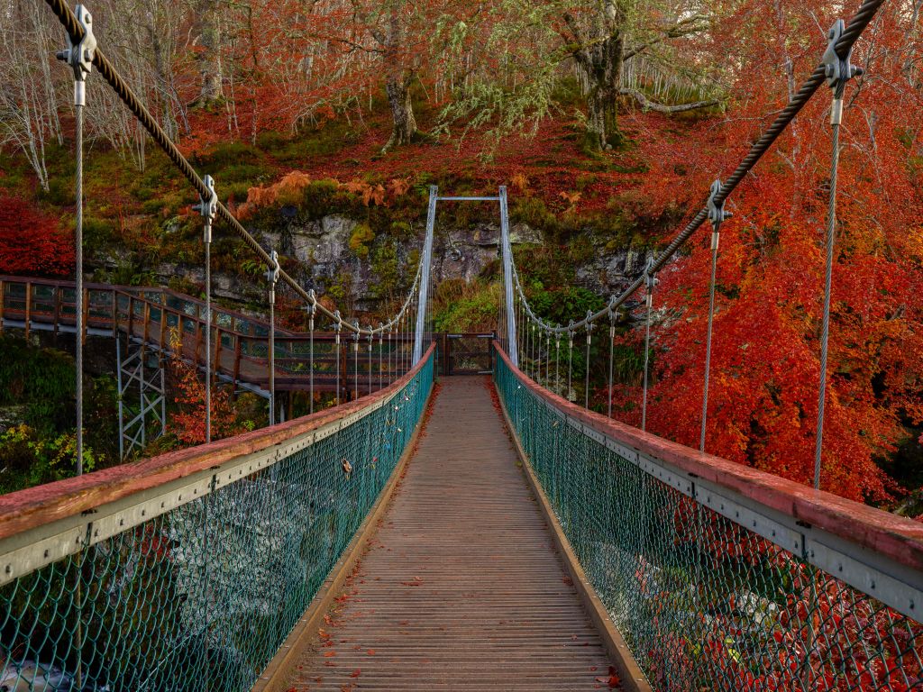Brücke in Herbststimmung