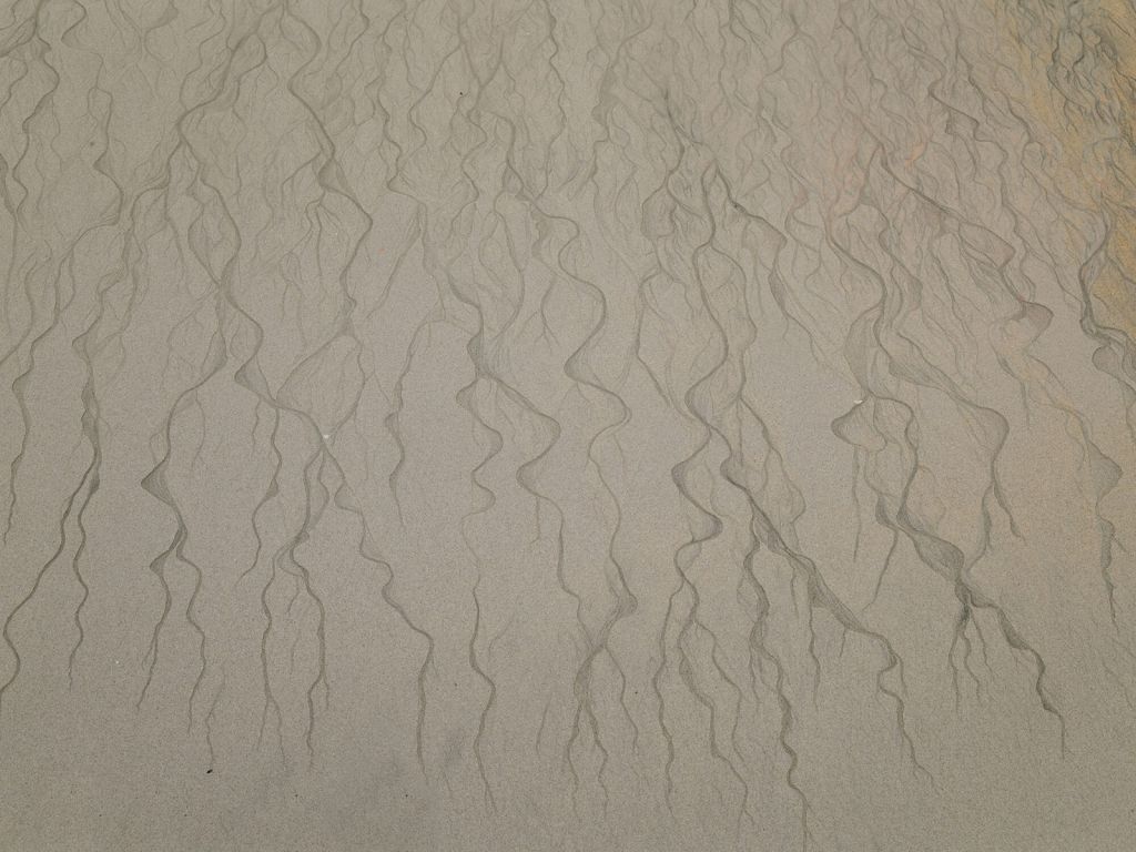 Venenmuster im Sand