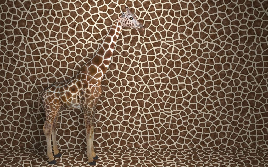 Getarnte Giraffe