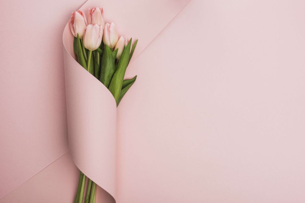 Tulpen Pastell