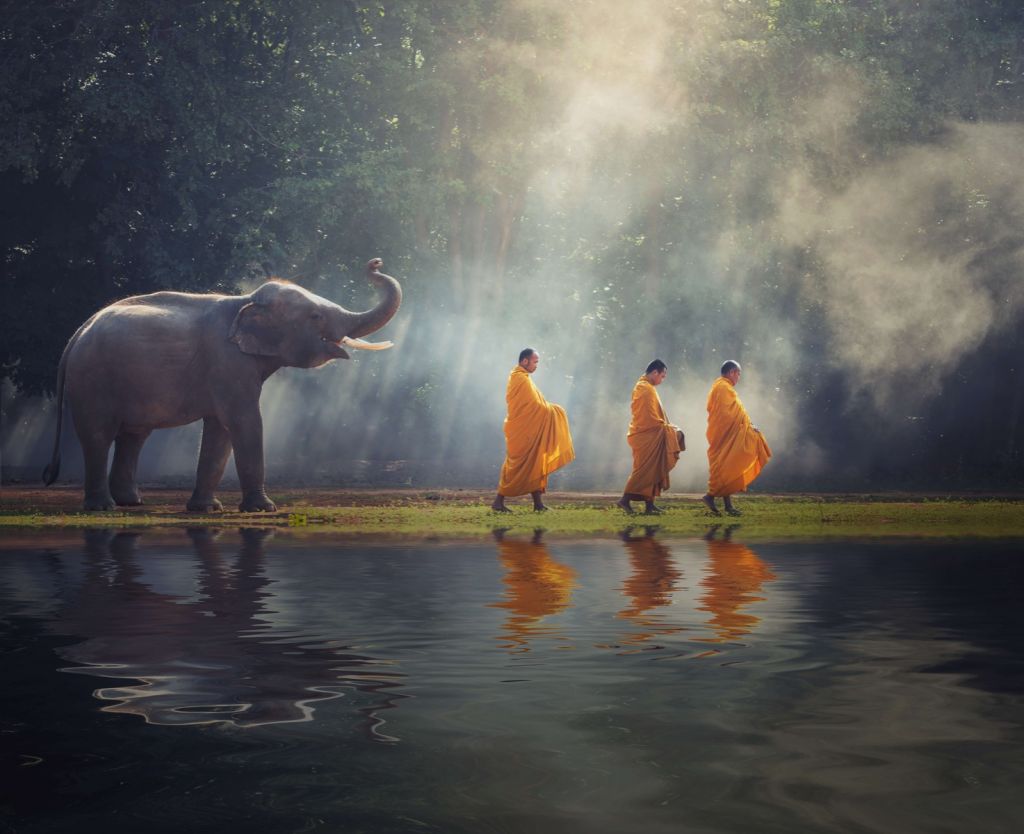 Elefant und Buddhisten