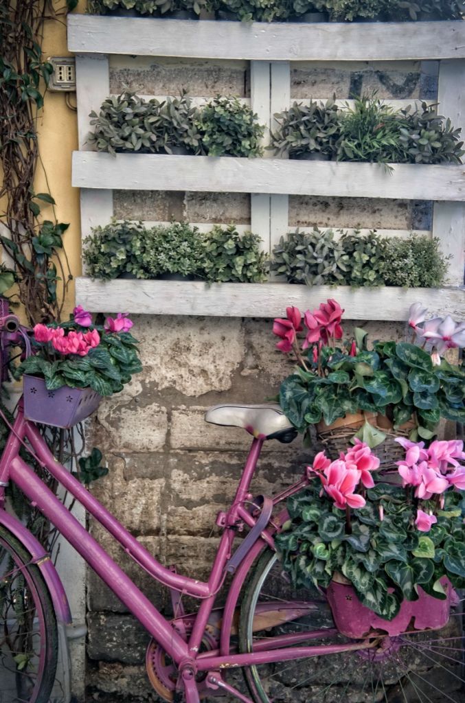 Oldtimer-Fahrrad mit Blumen