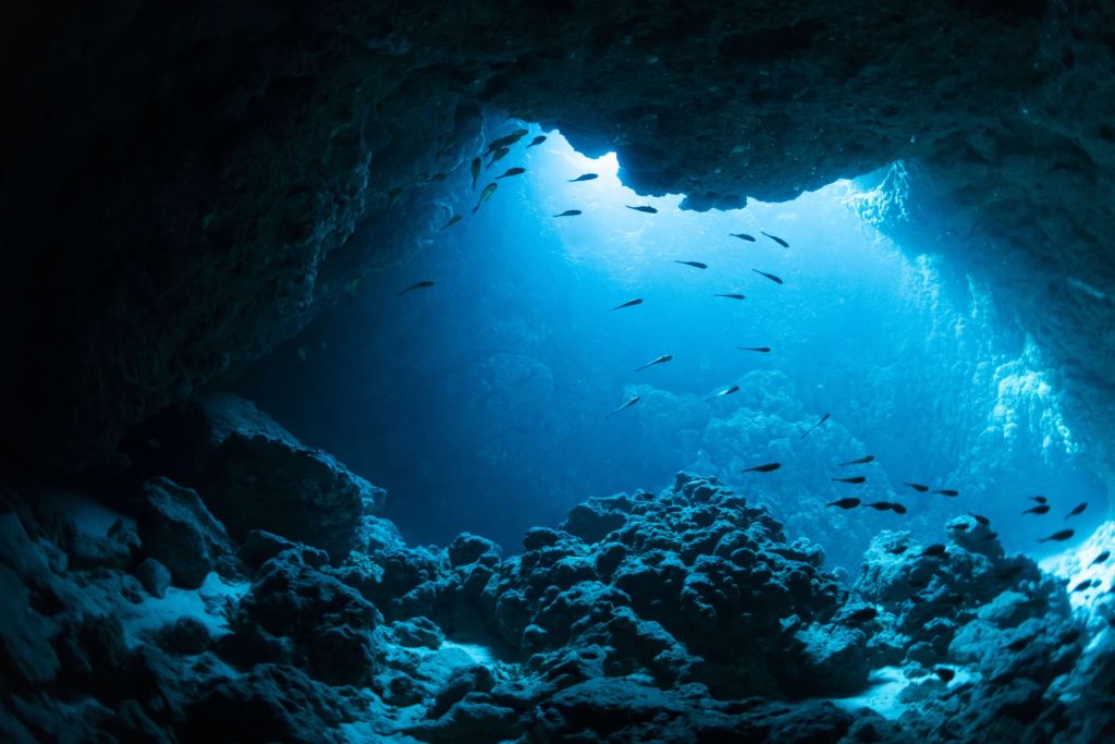 Unterwasserhöhle mit Fischen