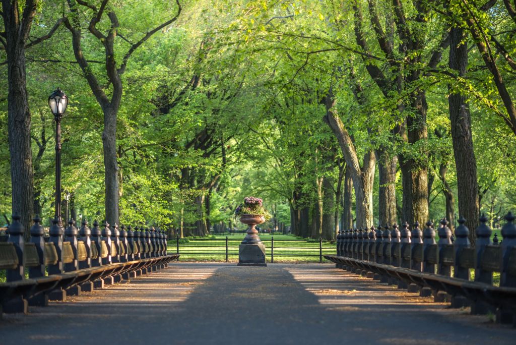 Pfad im Central Park