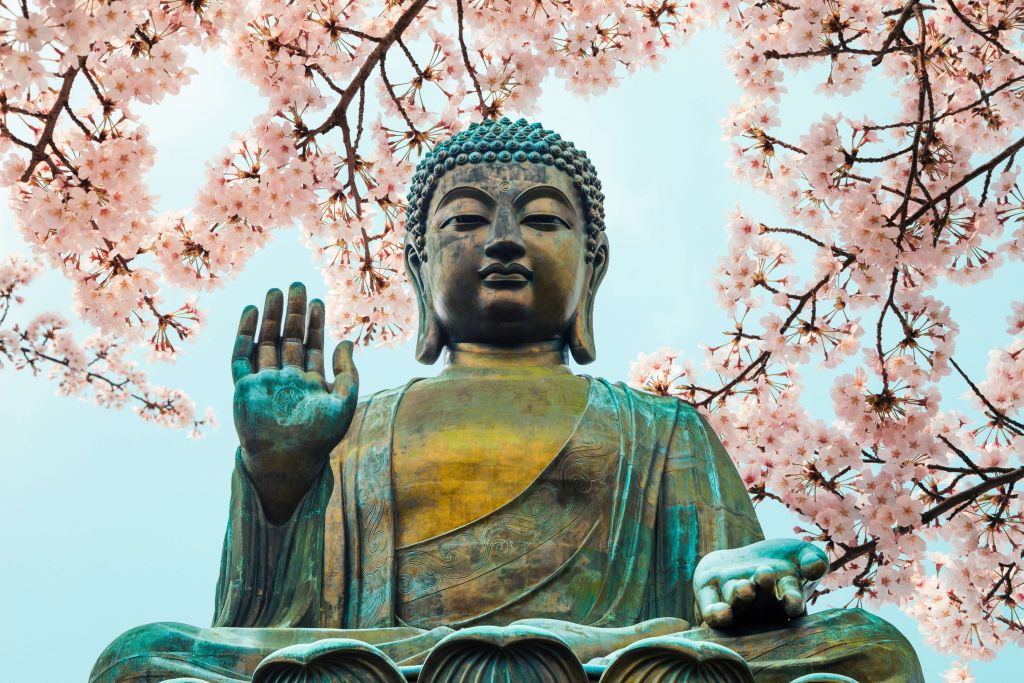 Buddha umgeben mit Kirschblüten