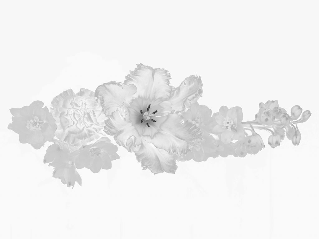 Blumenstrauß schwarz und weiß