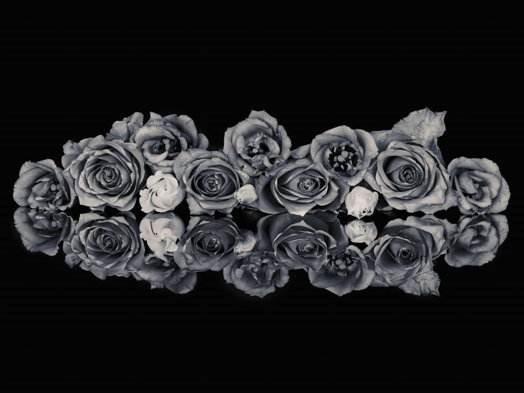 Rosenstrauß schwarz und weiß