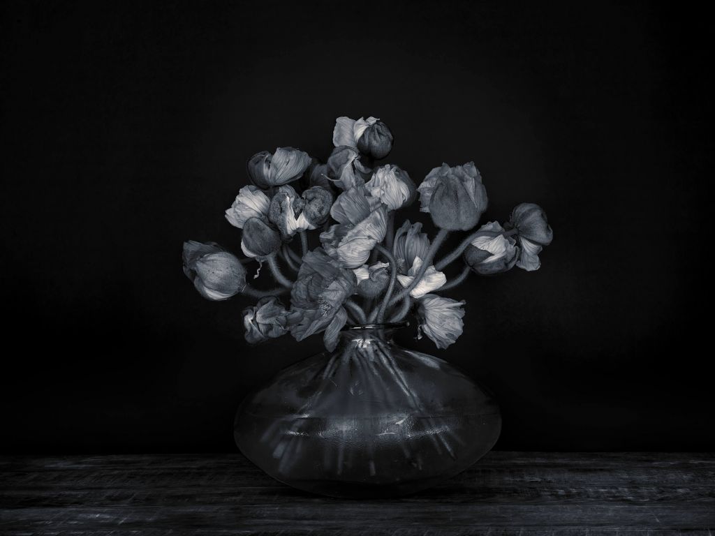 Malerische Blumen schwarz und weiß