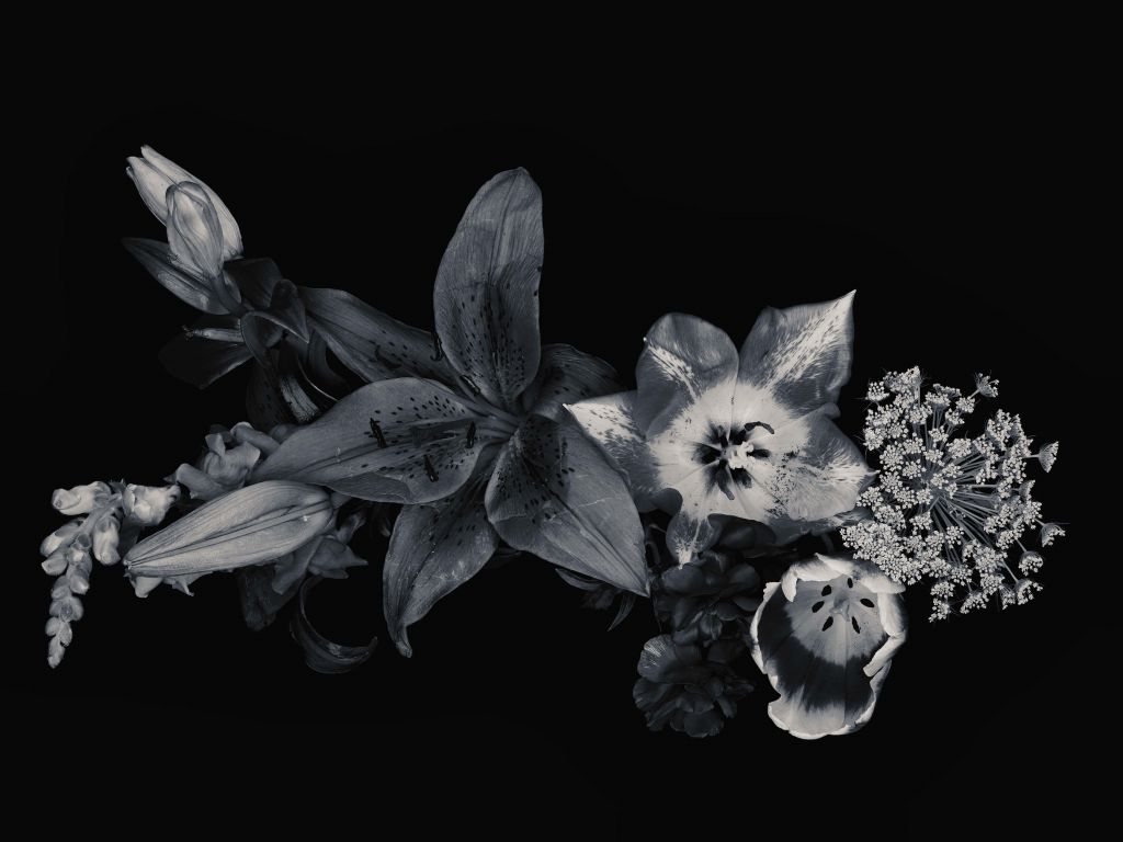 Verbundblumen schwarz und weiß