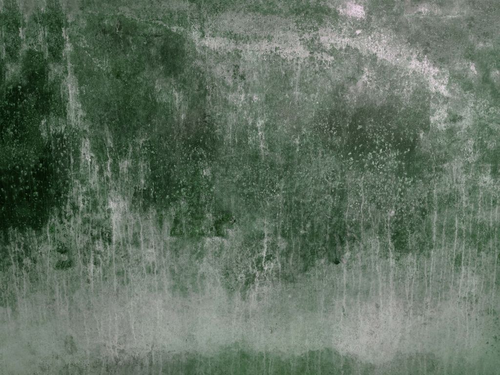 Alte verwitterte grüne Wand