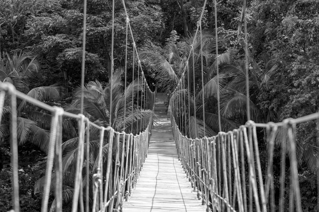 Hölzerne Brücke zwischen Palmen