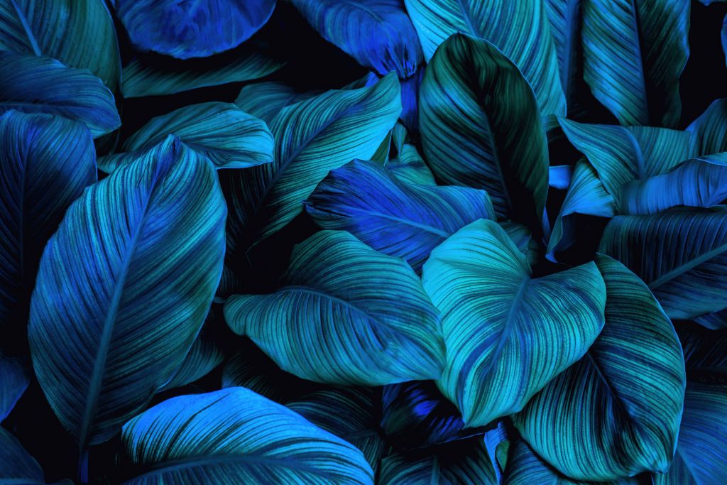 Blaue Blätter