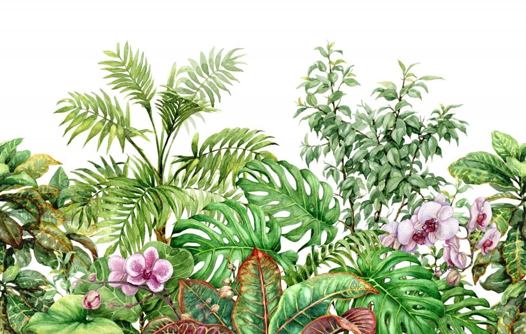 Tropische Pflanzen aus Aquarell