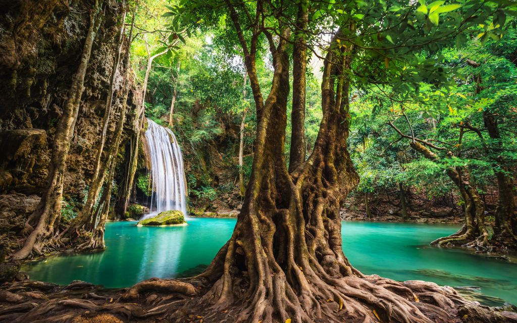 Wasserfall im tropischen Dschungel