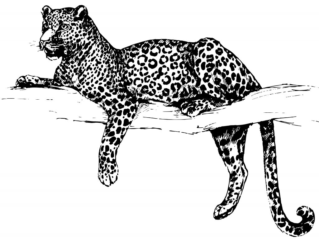 Gezeichneter Leopard