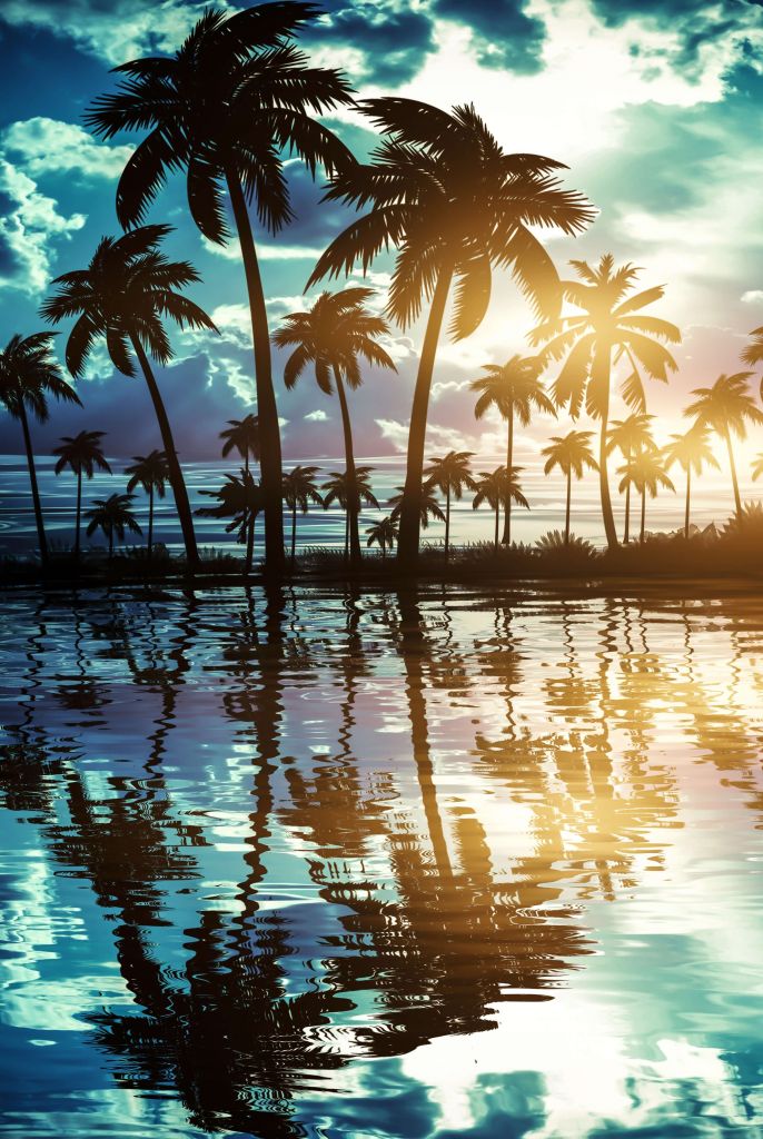 Nachtlandschaft mit Palmen