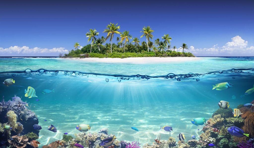 Tropische Insel und Korallenriff