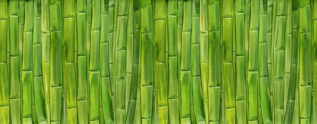 Aquarell Bambus