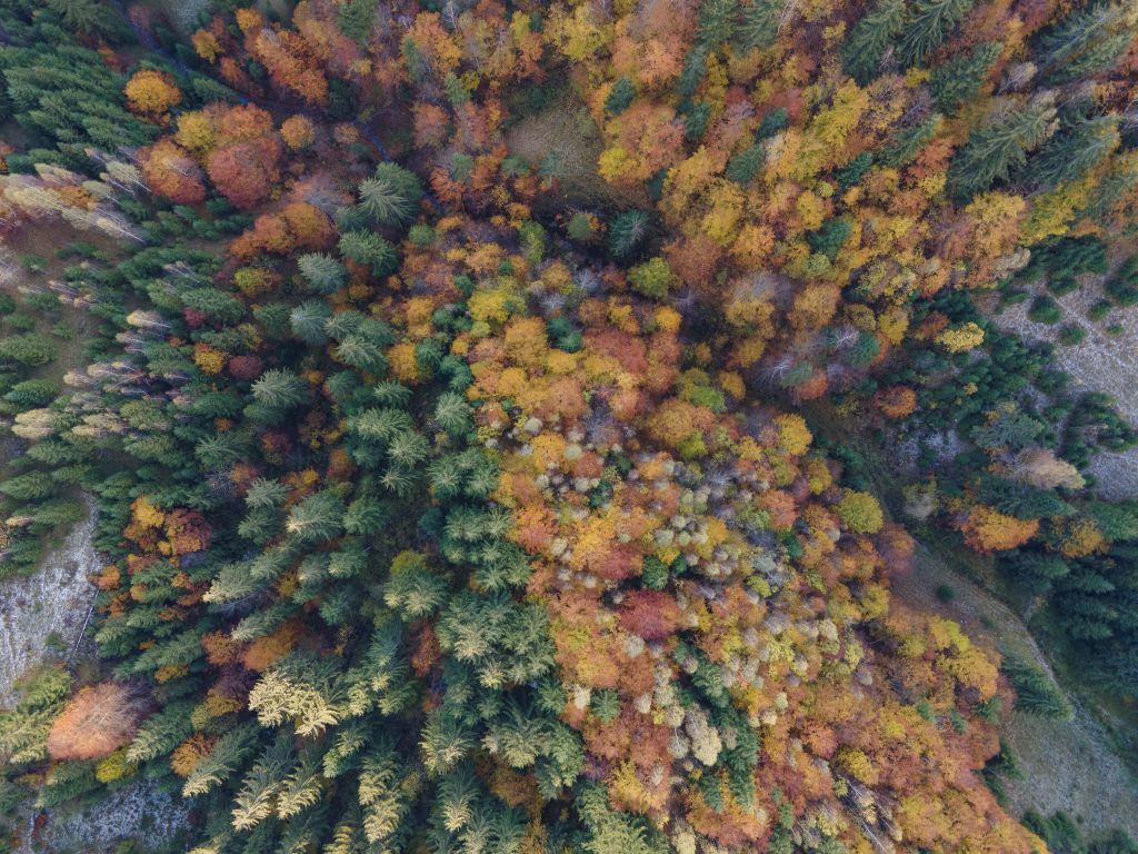 Herbstlandschaft von oben