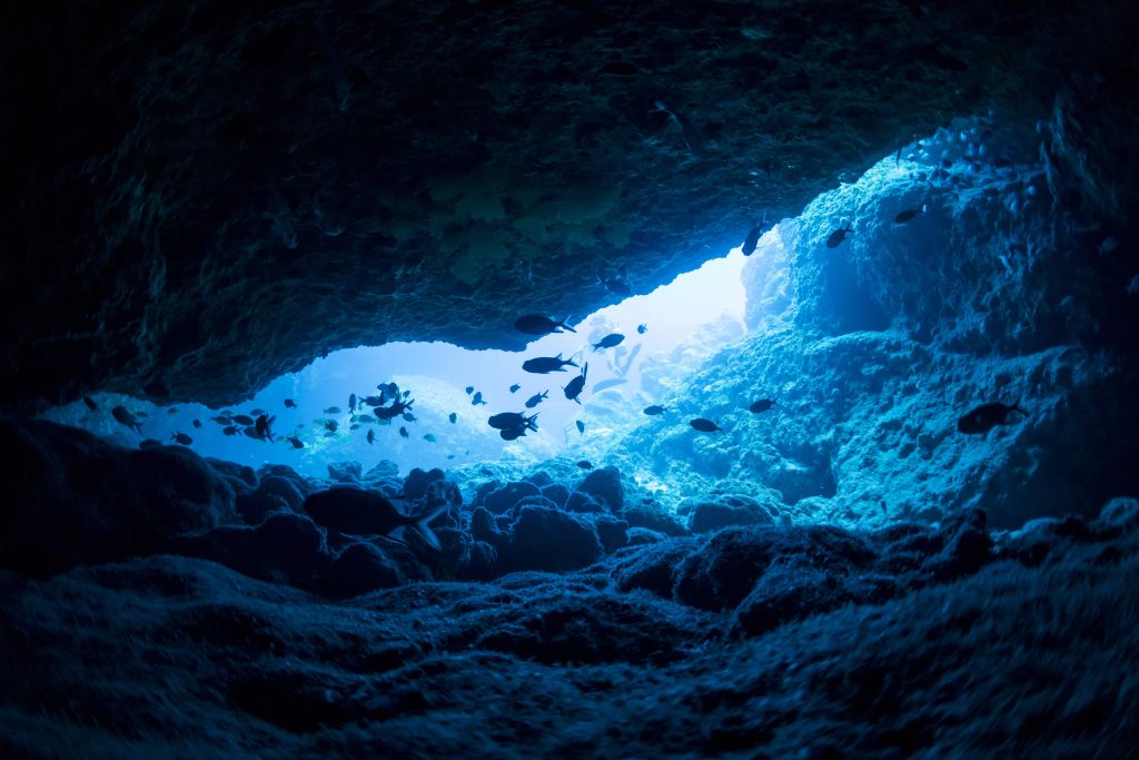 Enge Höhle mit Fischen
