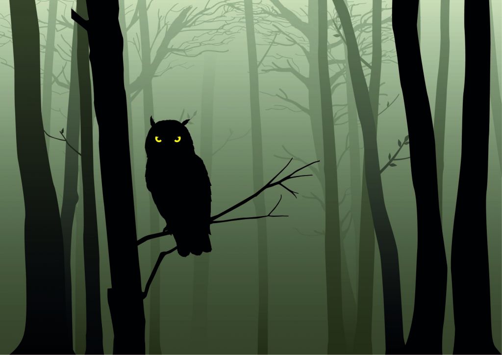 Illustrierte Eule im dunklen Wald