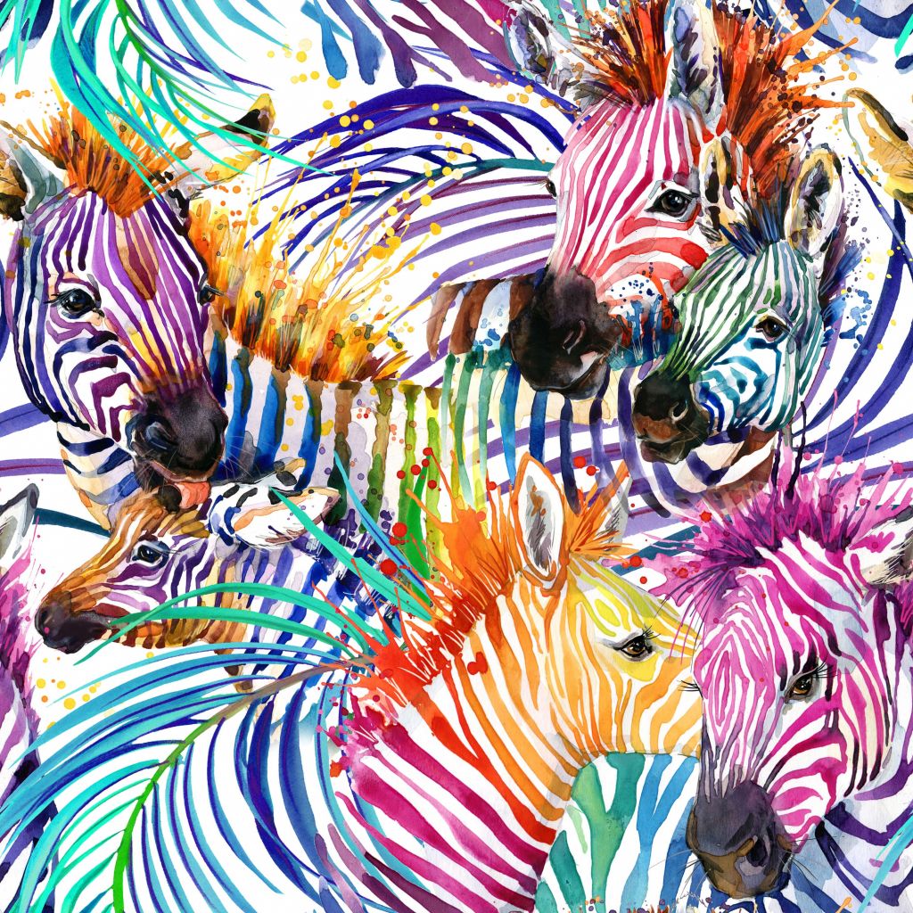 Farbige Zebras