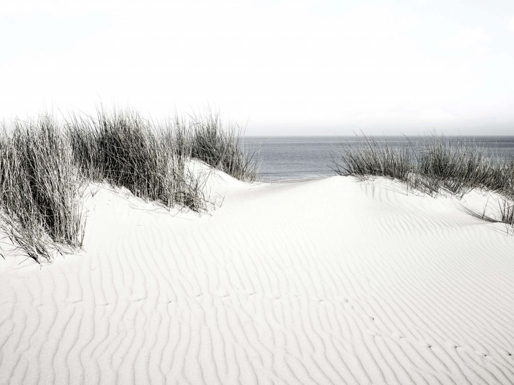 Dünenübergang zum Strand schwarz und weiß