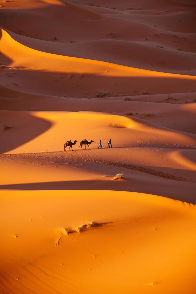 Draufsicht auf die Wüste