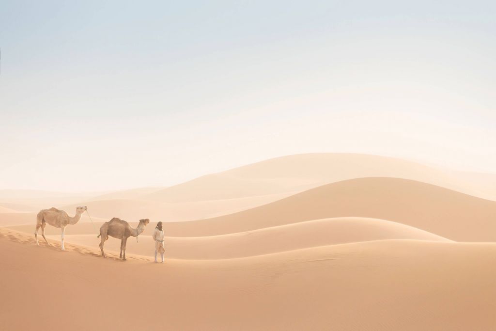 Nomade mit seinen Kamelen