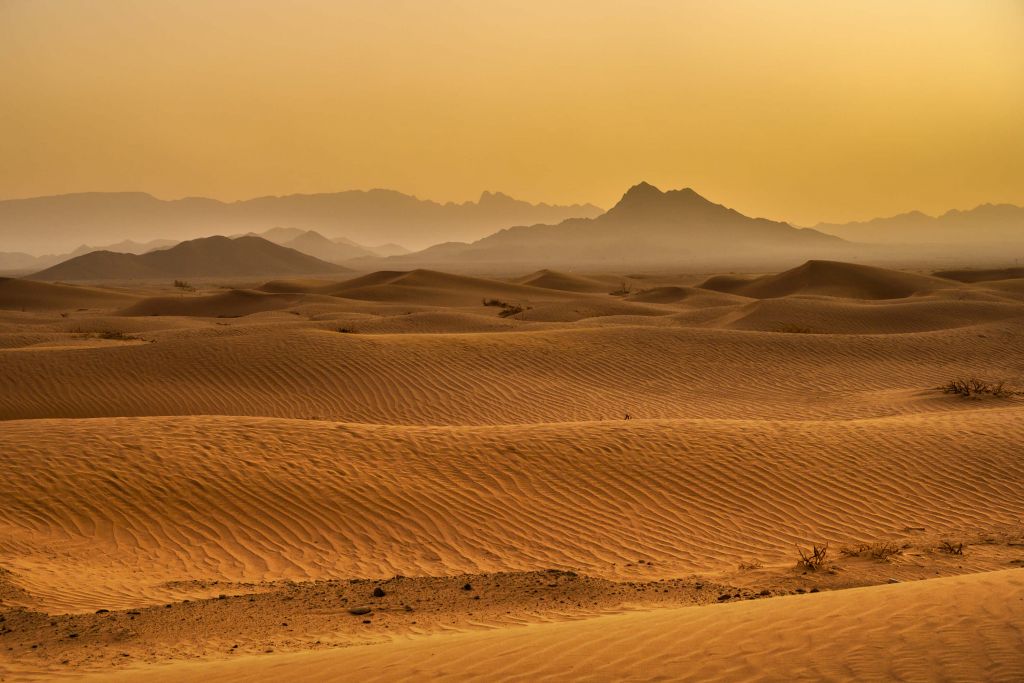 Wüste Wüste