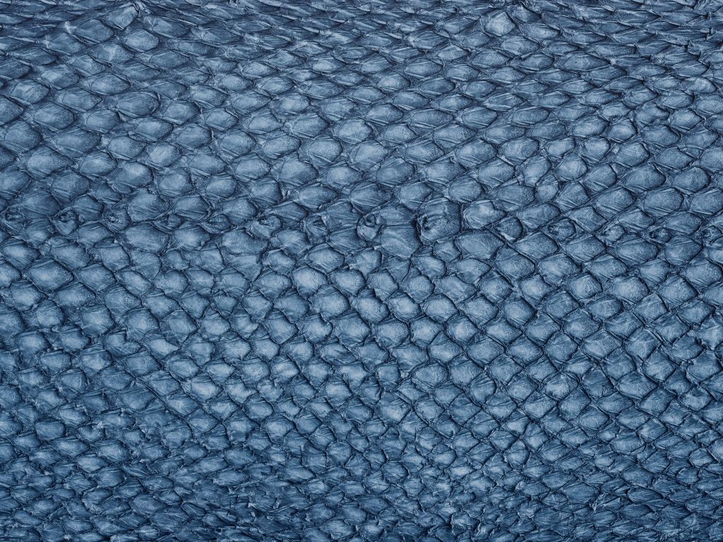 Lachshauttextur in Blau