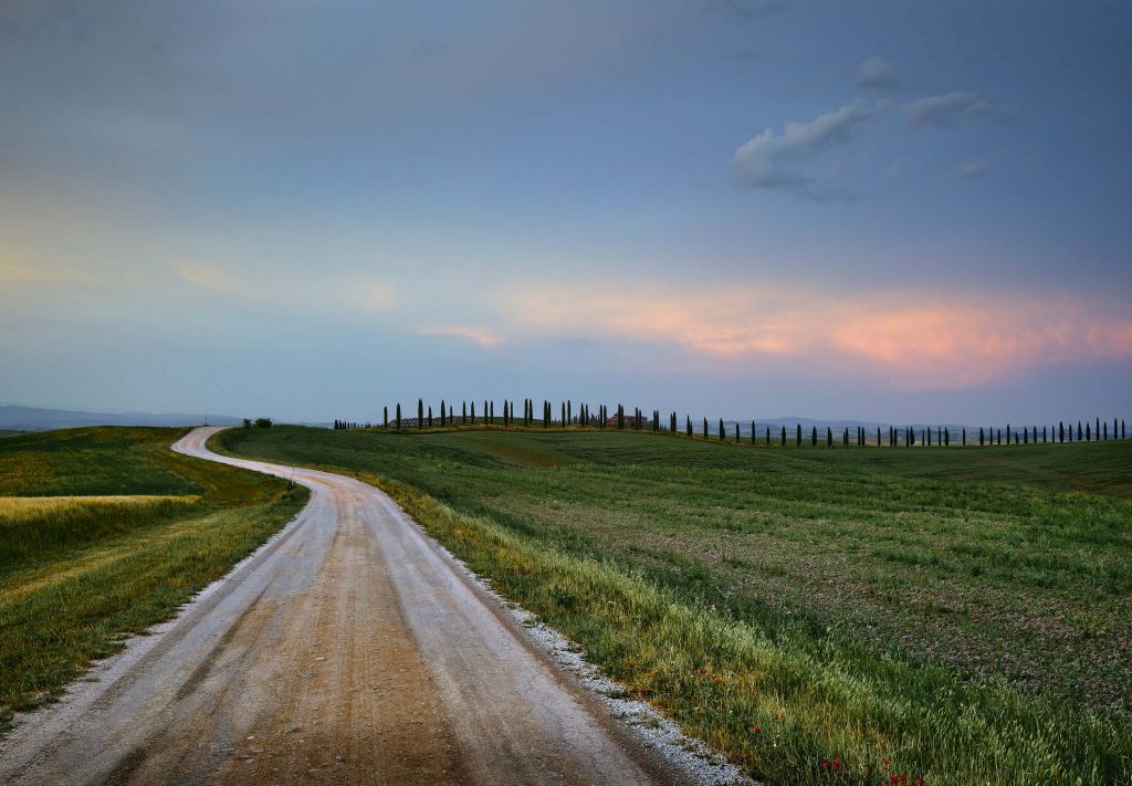 Straße durch italienische Landschaft
